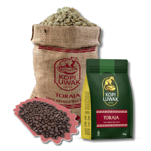 Toraja LUWAK