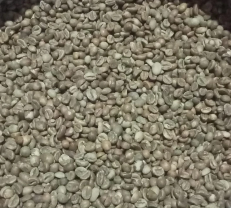 Robusta Luwak